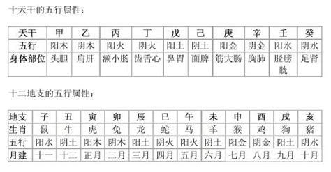 地支阴阳|十二地支阴阳、五行属性、颜色及类象